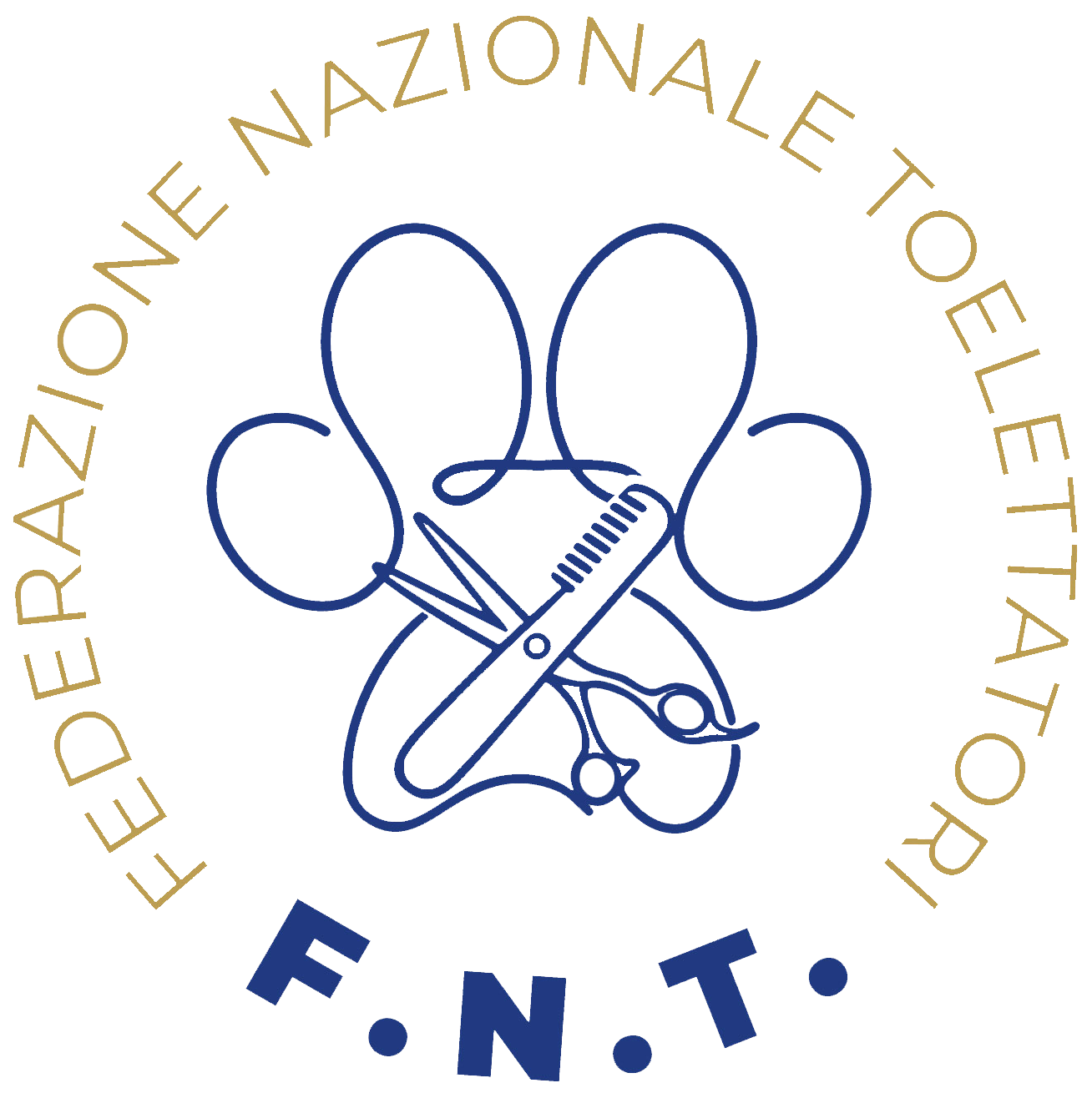 Logo FNT