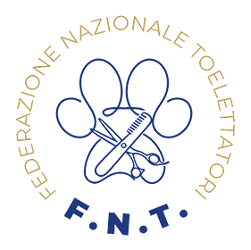 Logo FNT Footer